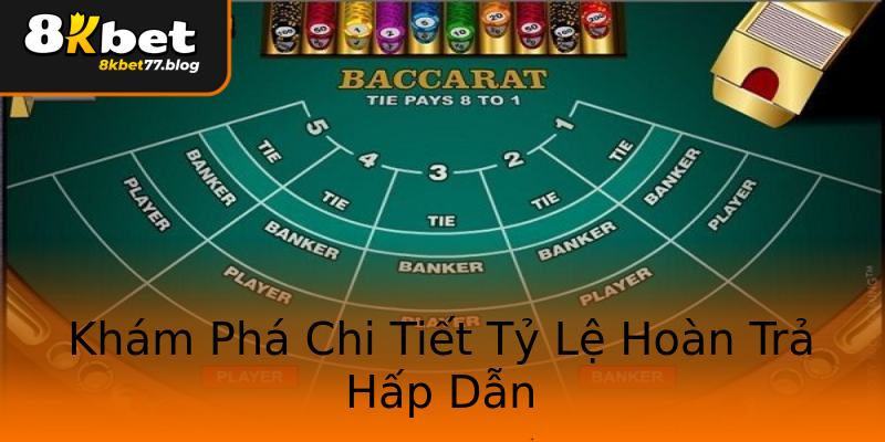 Khám Phá Chi Tiết Tỷ Lệ Hoàn Trả Hấp Dẫn Khám Phá Chi Tiết Tỷ Lệ Hoàn Trả Hấp Dẫn