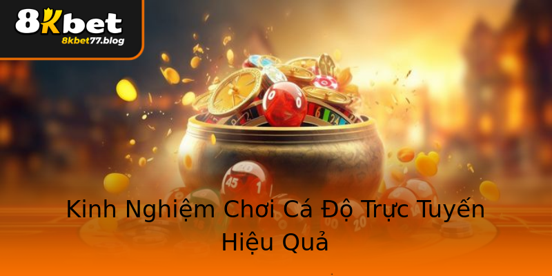 Kinh Nghiệm Chơi Cá Độ Trực Tuyến Hiệu Quả